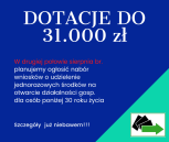 Obrazek dla: Dotacje po 31 tys. PLN - planowany nabór